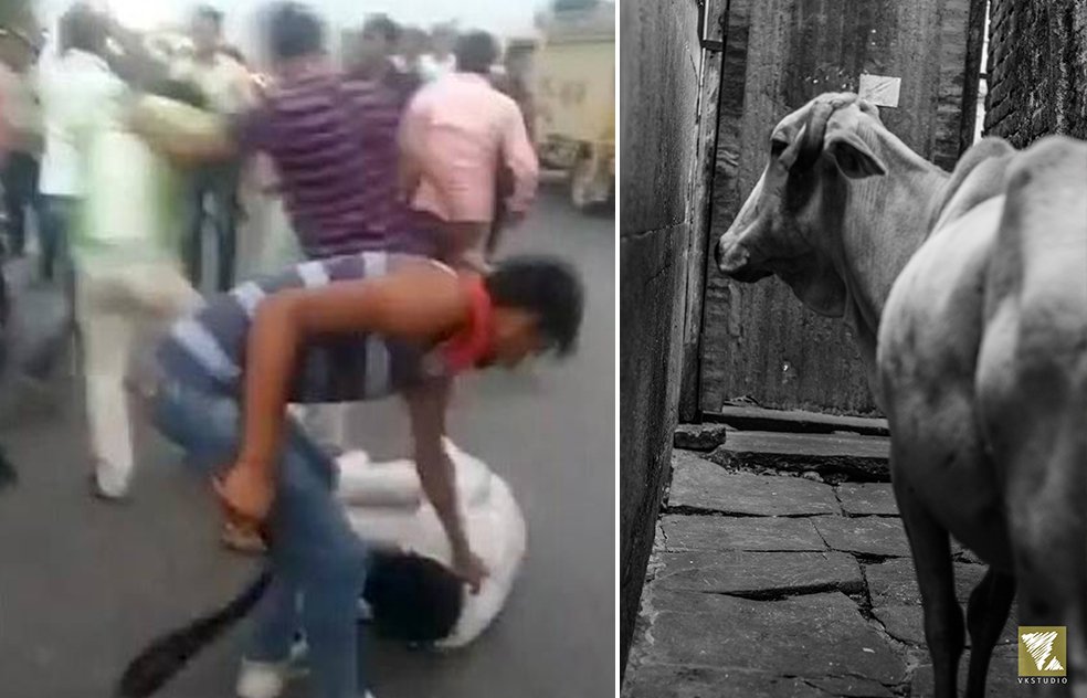 Rajasthan: 5 Men Beaten Brutally By Gaurakshaks For Transporting Cows, 1 Dies At Hospital