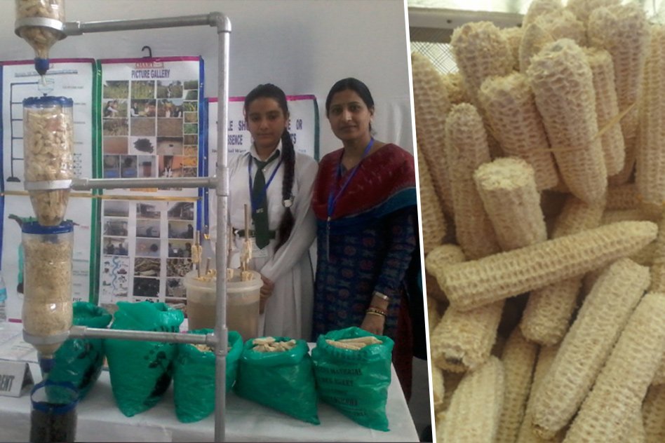 Odisha School Girl Wins Award At Google Science Fair For Developing Water Purifying Agent
