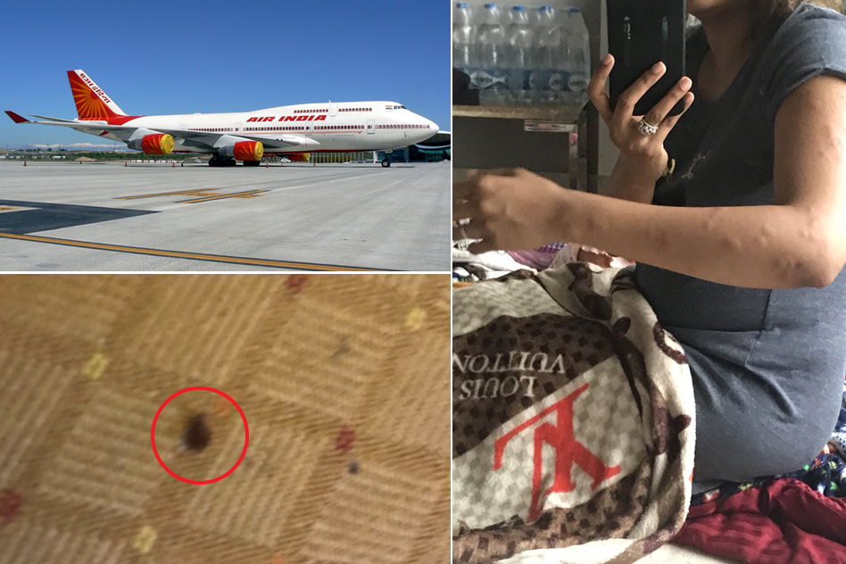 Bed Bugs On Air India Flight: Business-Class Passengers Recount Their 17-Hours-Long Nightmare