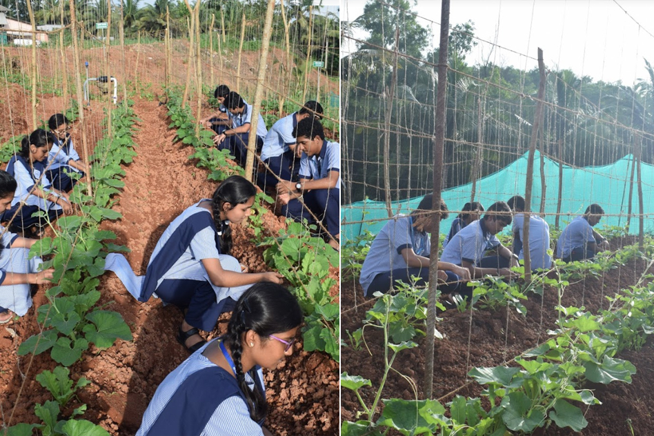 Karnataka School Introduces Farming As Subject To Connect Urban Students With Rural Life