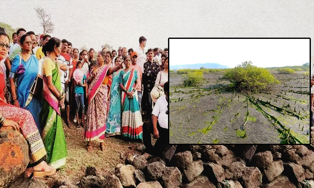 This Community In Maharashtra Is Providing Jobs To Locals, Saving Marine Life