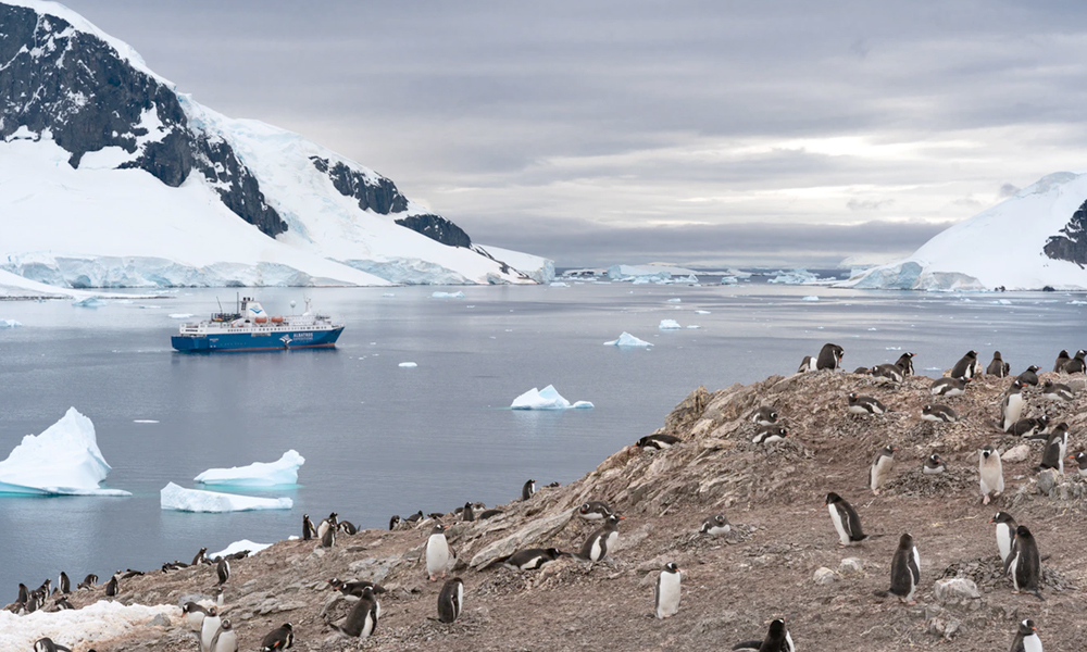 Shocking! Antarctica Records Highest Temperature Of 18.3°C