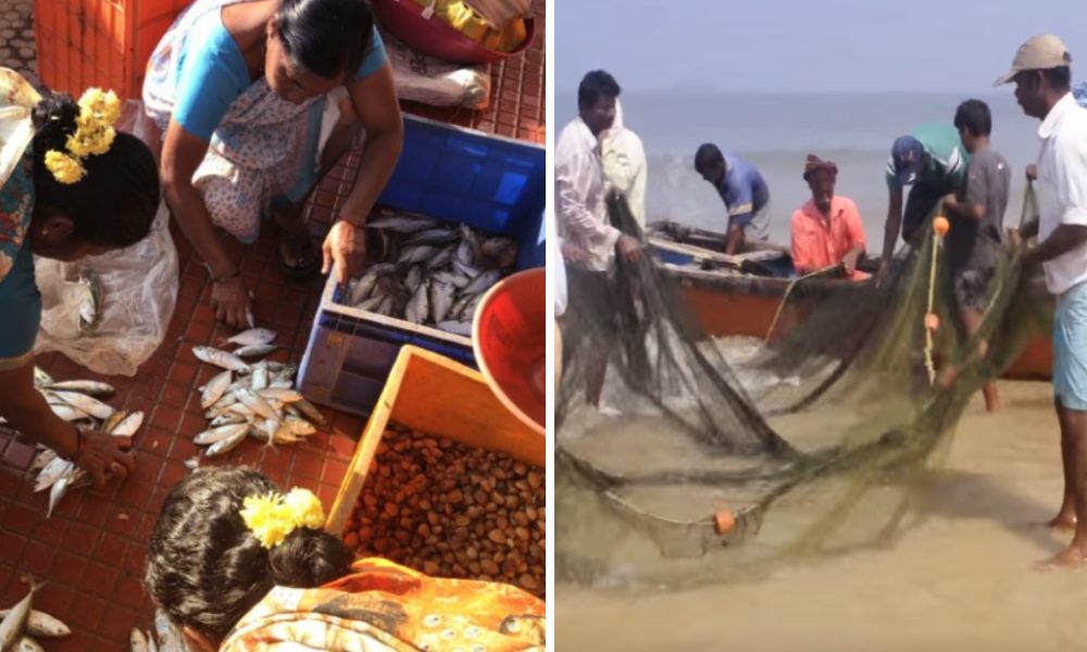 This Might Be The Year Of Famine For Us: Declining Catch Worries Fishers In Southern Karnataka