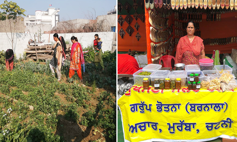 In Cancer Affected Malwa Region Of Punjab, Over 2000 Women Say No To Pesticides, Start Organic Farming