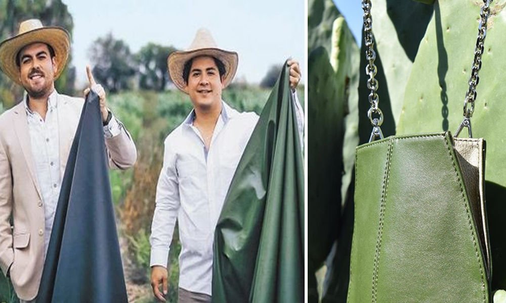 No More Killing Of Animals! Mexican Entrepreneurs Create Leather From Cactus