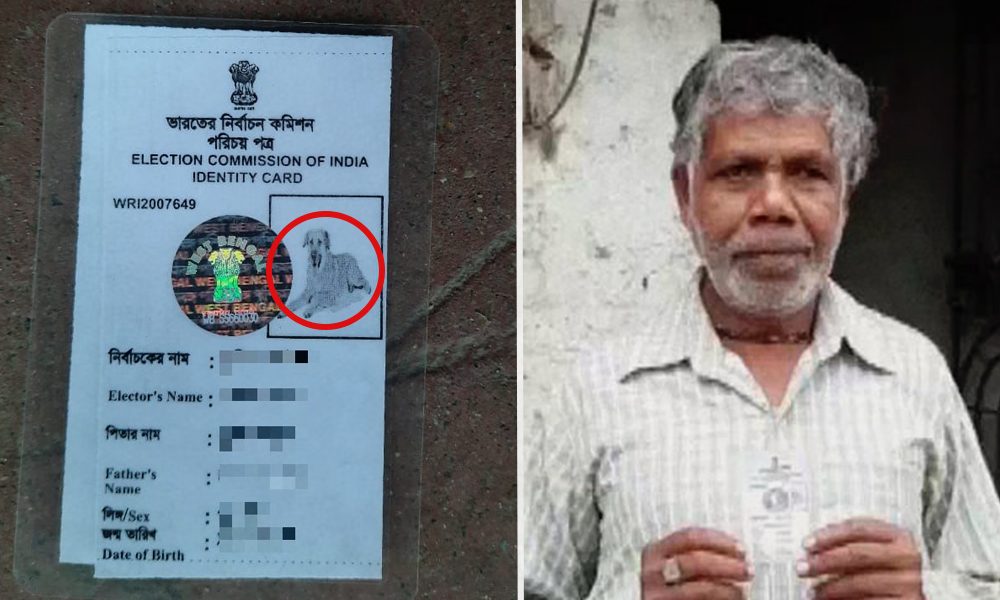 West Bengal: Man Gets Voter ID Card With Dogs Photo Instead Of His Own