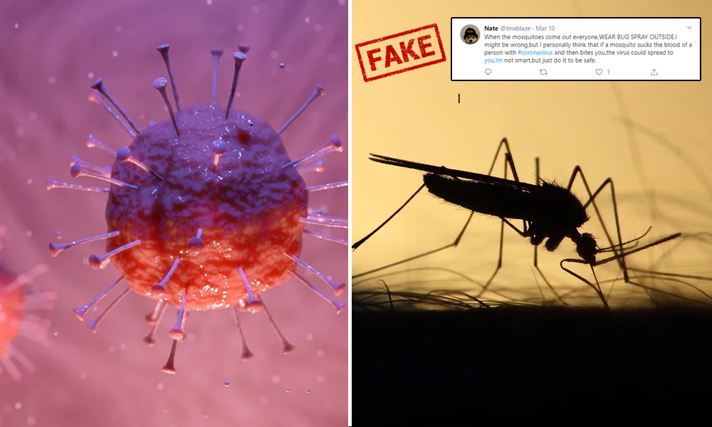 Fact Check: No, COVID-19 Cannot Be Transmitted By Mosquitoes