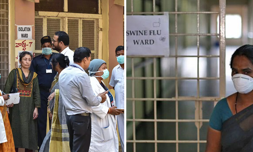While Focus Remains On Coronavirus, Swine Flu Has Infected Over 1000 People In India, Killed 18