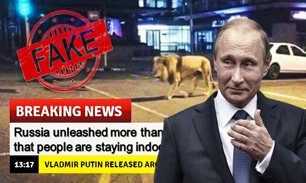Fact Check: Did Vladimir Putin Unleash Lions To Keep Russians Indoor?