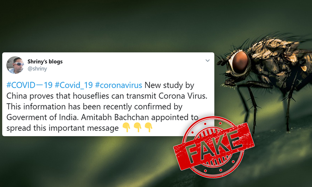 Fact Check: Can Houseflies Spread COVID-19?