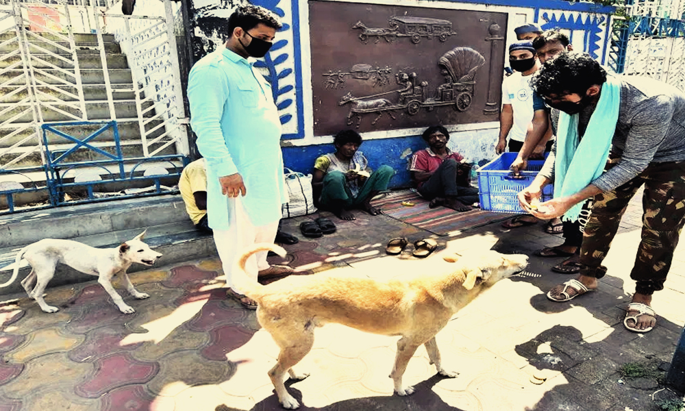 Odisha Govt Sanctions Rs 54 Lakh To Feed Stray Animals Amid COVID-19 Lockdown