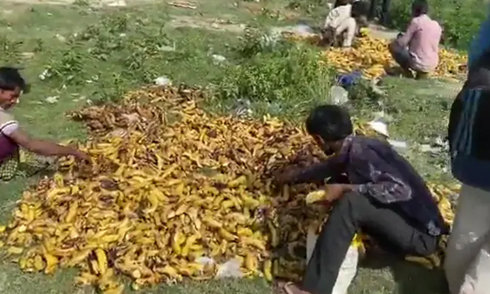 COVID-19 Lockdown: Hunger Drives Migrant Workers To Scavenge For Bananas Near Cremation Ground In Delhi