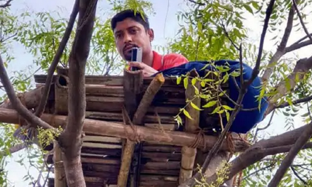Bengal Teacher Climbs Tree To Tackle Internet Woes To Teach Children Amid Lockdown