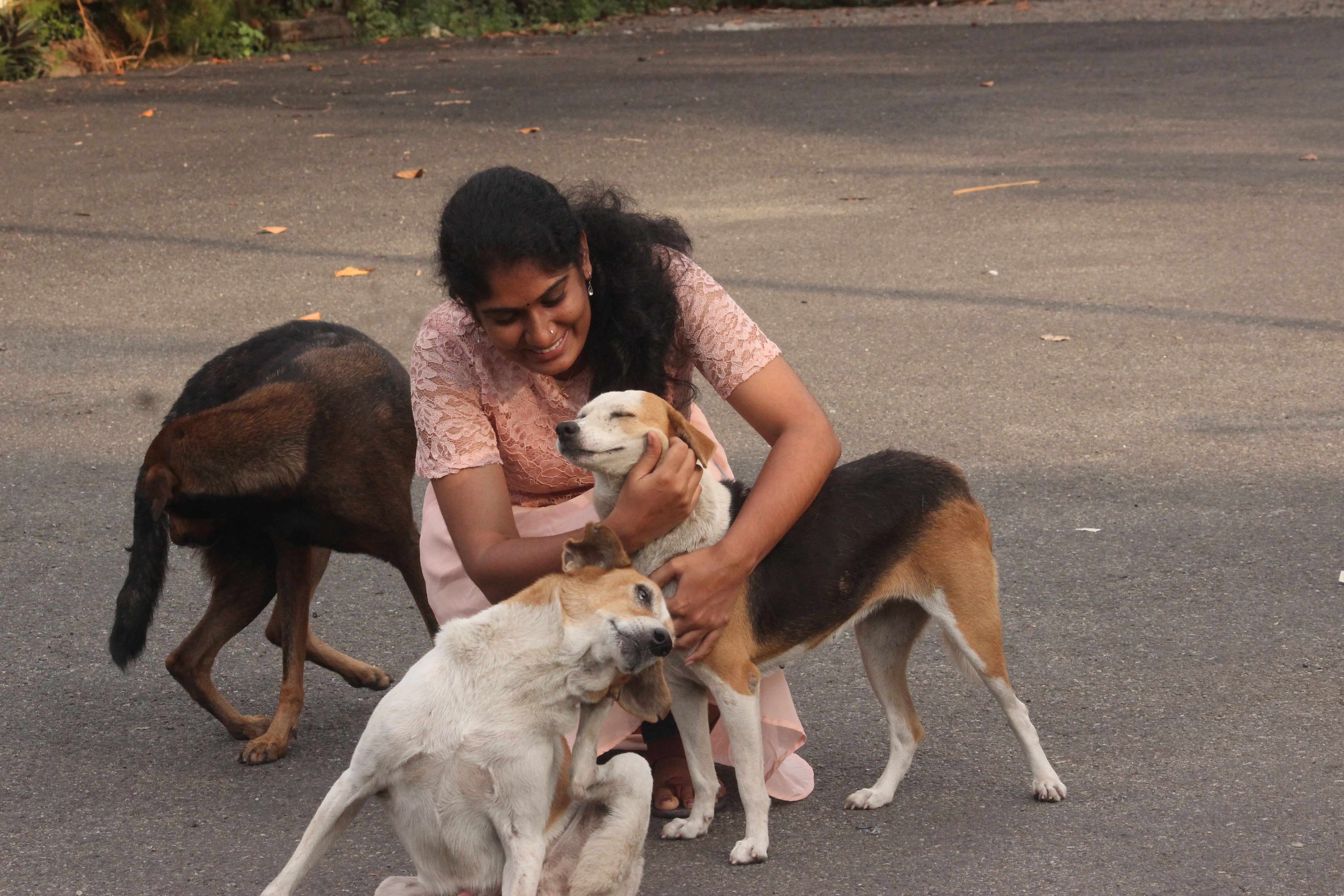 Corona Warriors: This Kochi-Based NGO Is Feeding 1,000 Stray Animals Daily  Amid Lockdown