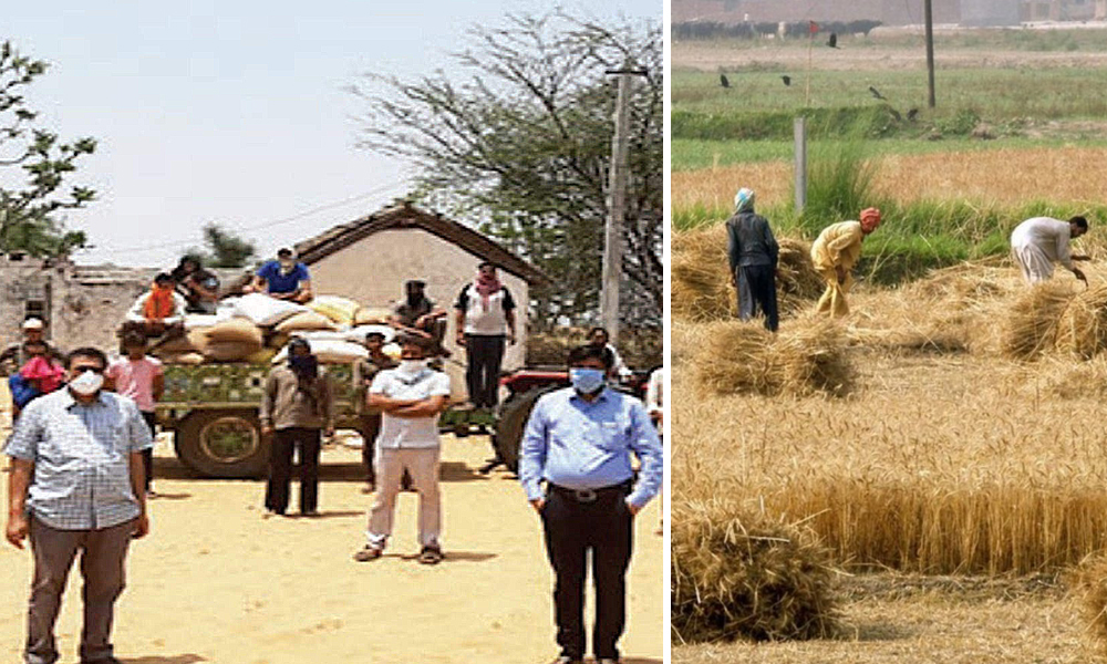 Rajasthan: Sikar Village Donates 35 Quintal Wheat To Needy Amid Lockdown