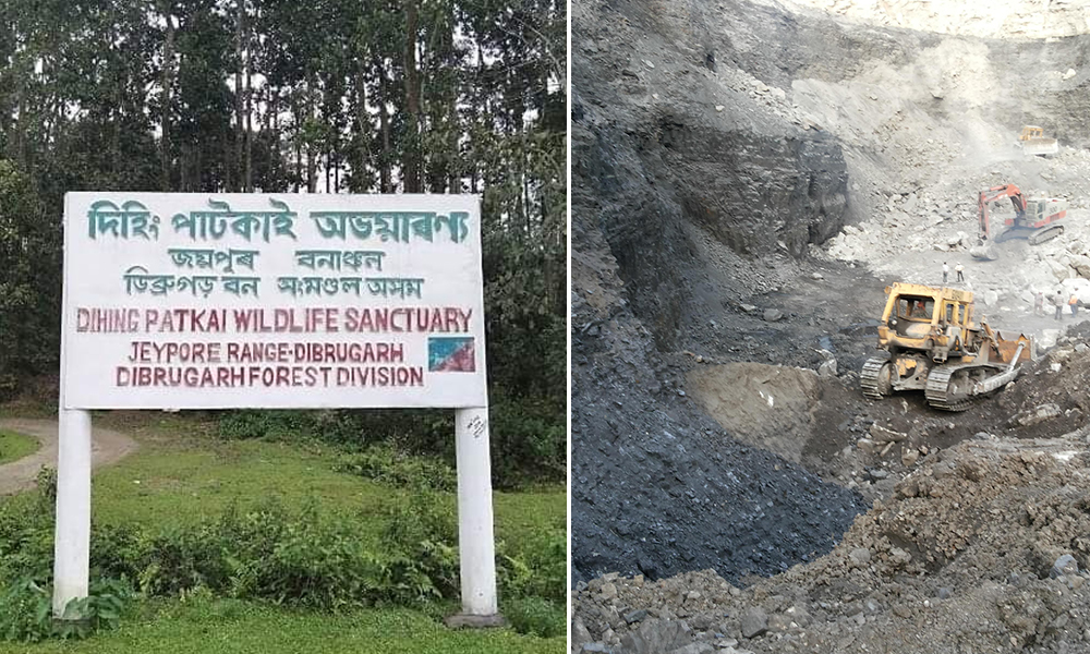 Trees Cut In 16 Hectare Untouched Land In Elephant Reserve To Make Way For Coal Mining: RTI