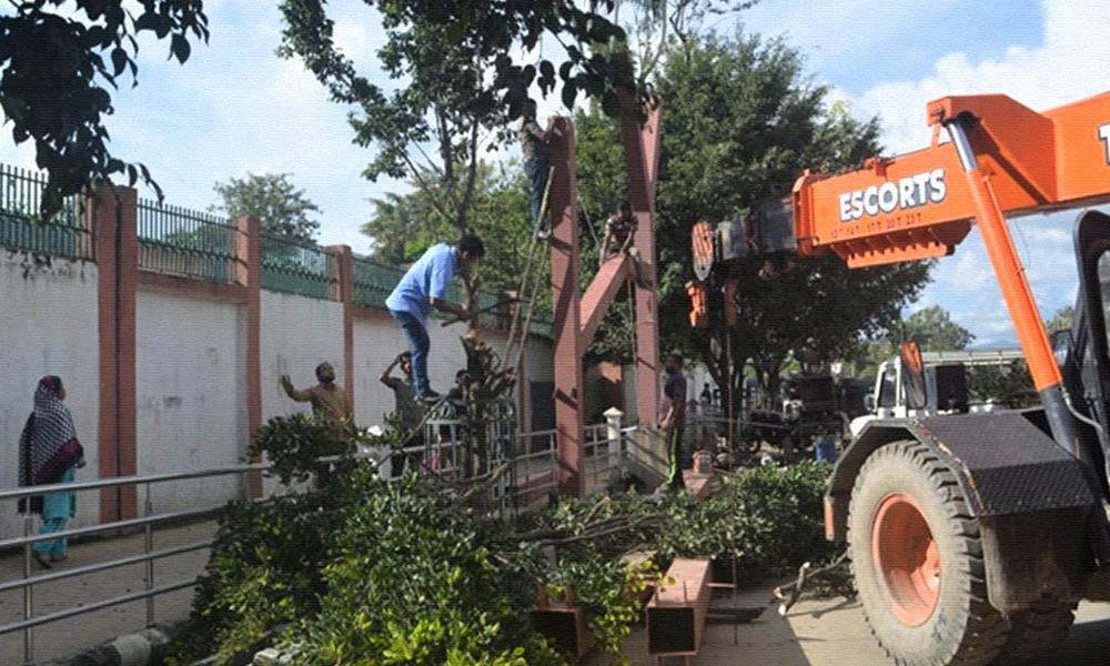 Hundreds Of Trees Felled In Madhya Pradesh Amid Lockdown, Govt To Probe