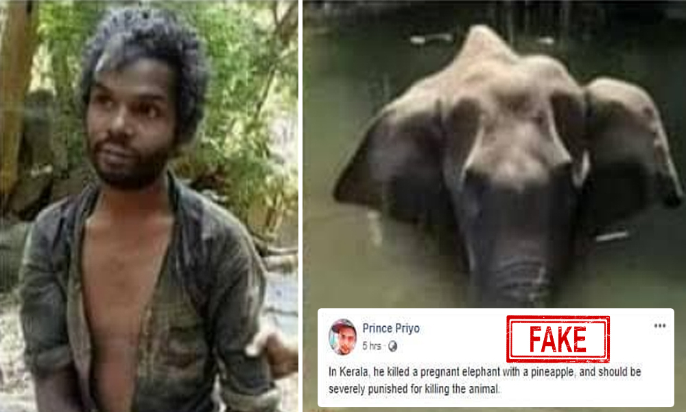 Fact Check: Viral Picture Shows Killer Of Pregnant Wild Elephant In Kerala?