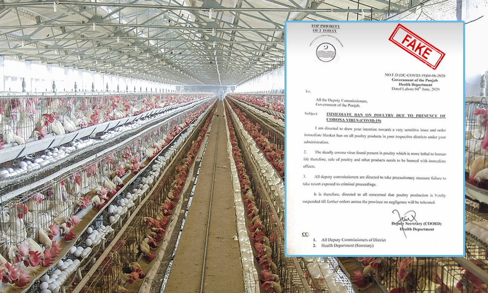 Fact Check: Fake Notification From Punjab Govt Of Pakistan Banning Poultry Over COVID-19 Goes Viral