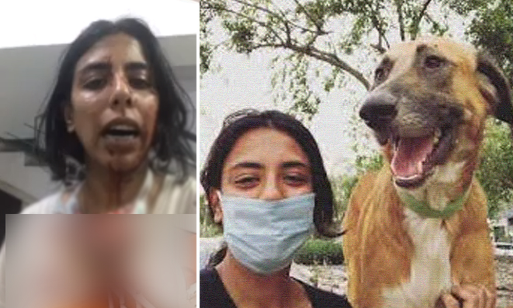 This Is Now Routine In Our Country: Delhi Animal Rescuers After Being Attacked By Mob