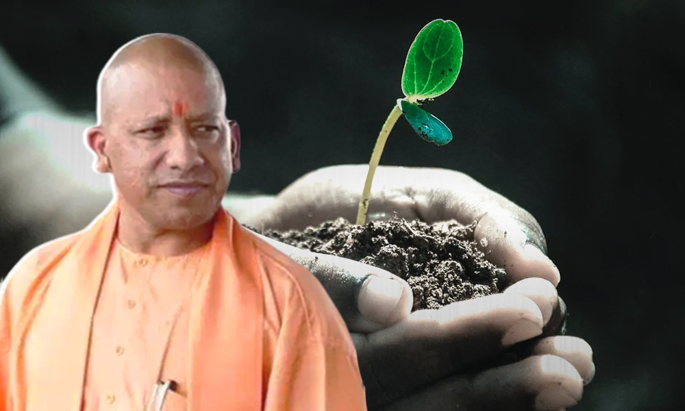Record 25.75 Crore Saplings Planted In Uttar Pradesh In Single Day: CM Yogi Adityanath