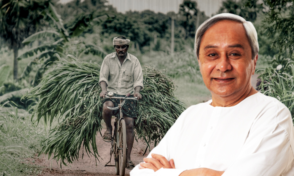 Odisha Launches First-Of-Its-Kind Balaram Scheme To Give Rs 1,040 Cr Agricultural Credit To 7 Lakh Landless Farmers