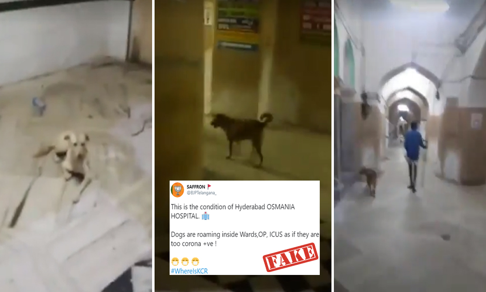 Fact Check: Dogs Roaming In Osmania Hospital, Hyderabad During COVID Times?