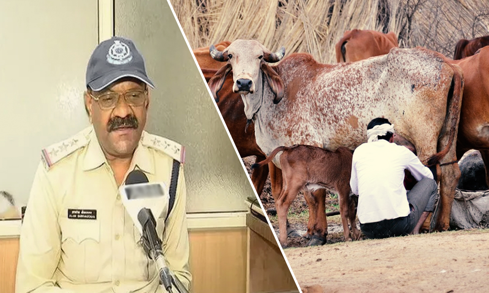 Uttar Pradesh: 55-Yr-Old Man Arrested For Raping Cow