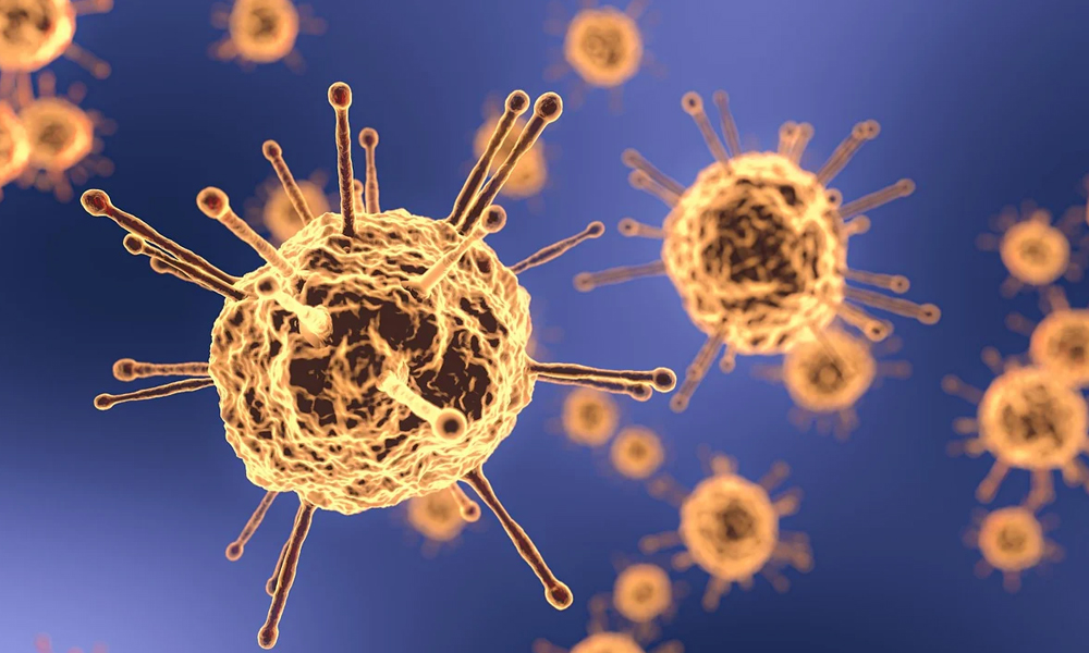 I Think I Made A Mistake: US Man Succumbs To Coronavirus After Attending COVID-19 Party