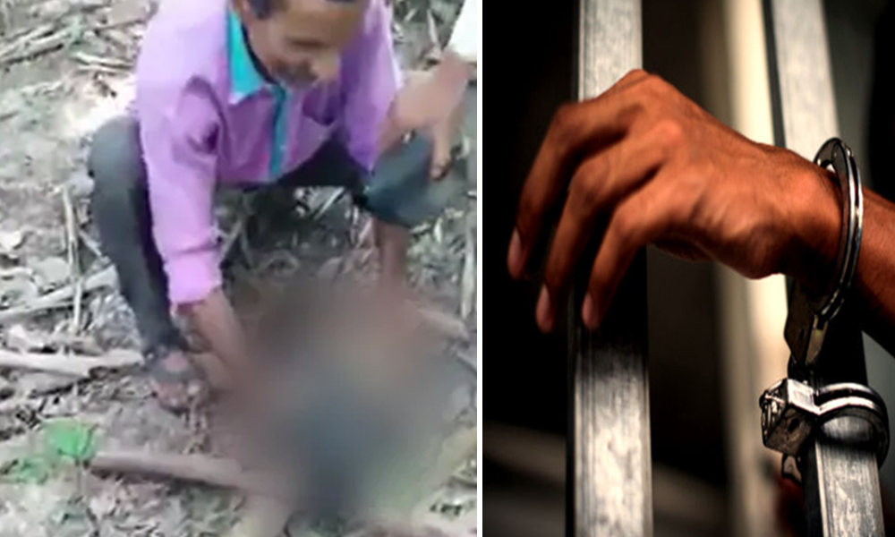 Monkey Pinned To Ground, Tortured, Four Arrested In Uttar Pradeshs Pilibhit