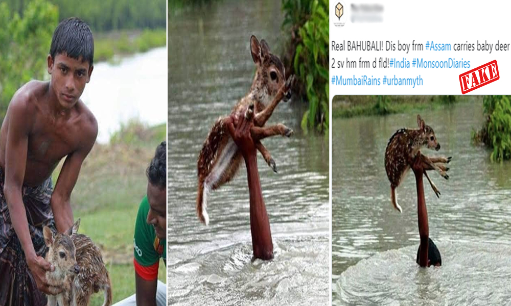 Fact Check: Boy Saves Deer Amid Floods In Assam?