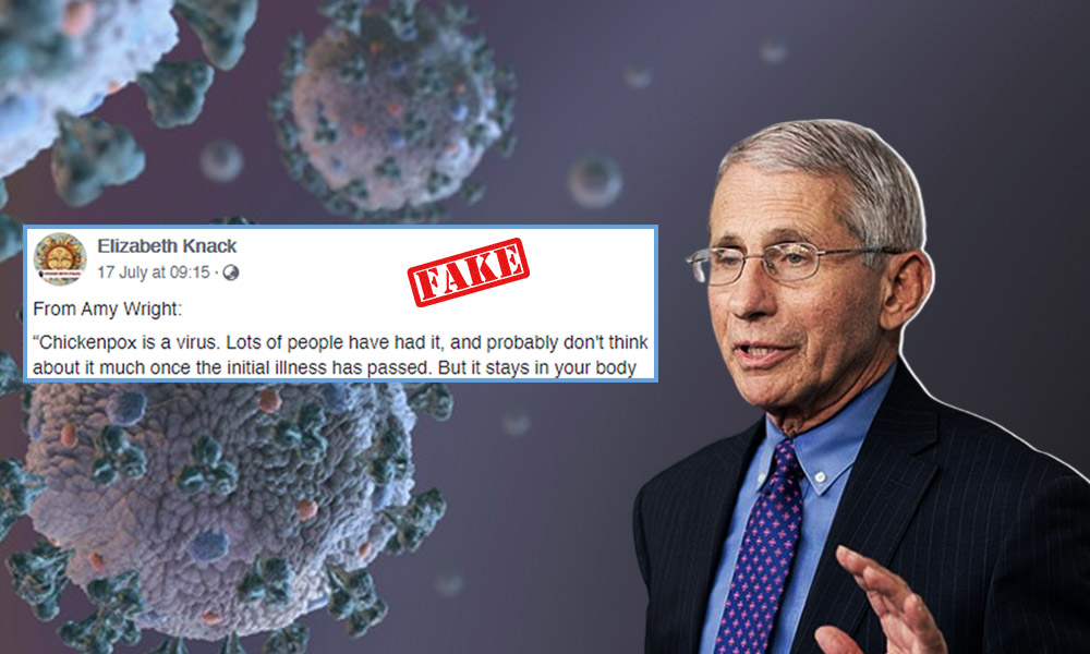 Fact Check: Cautionary Monologue On Coronavirus Falsely Attributed To Dr Anthony Fauci