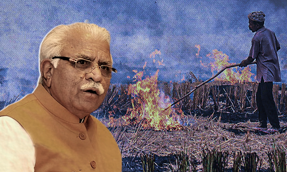 Haryana To Roll Out Rs 1,304 Crore Plan To Tackle Stubble Burning