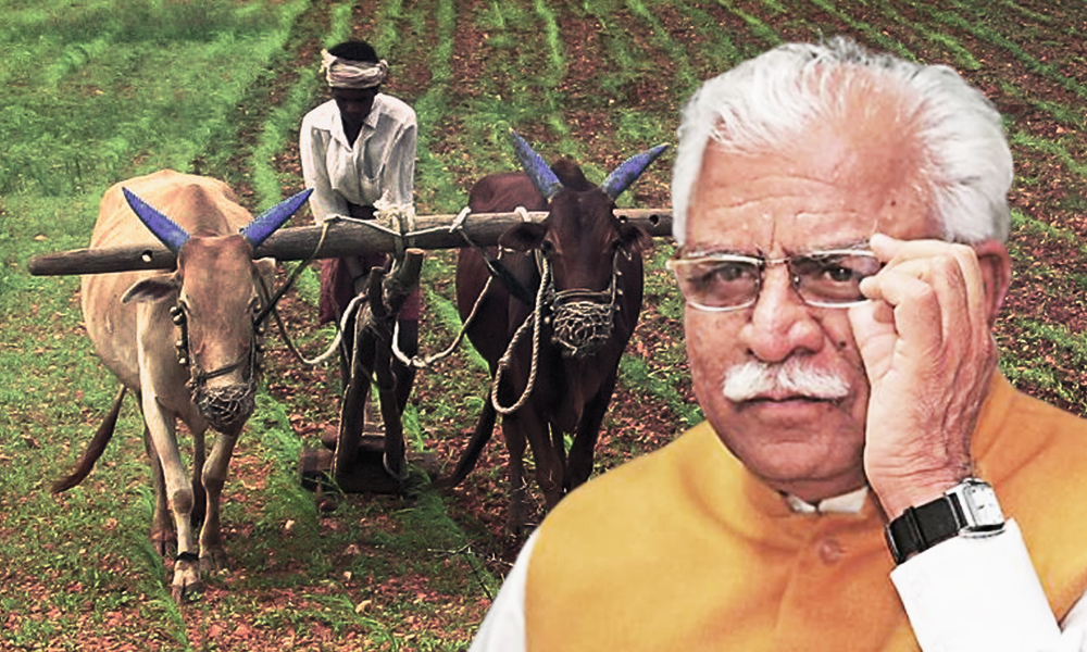 Haryana: Farmers Who Diversified From Paddy To Get First Instalment Of Rs 2,000 Per Acre