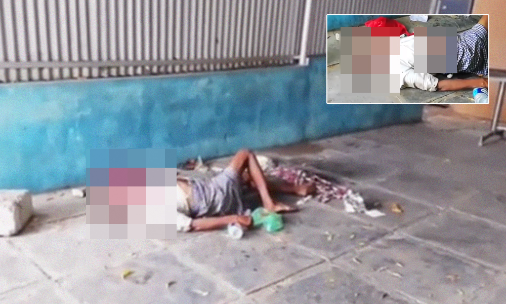 [Video] Dogs Found Chewing On COVID-19 Patients Corpse In Andhra Pradesh Hospital