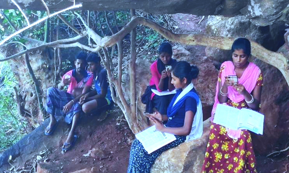 Tamil Nadu: Tribal Students Struggle With Digital Divide, Climb Hill To Access Internet For Online Classes