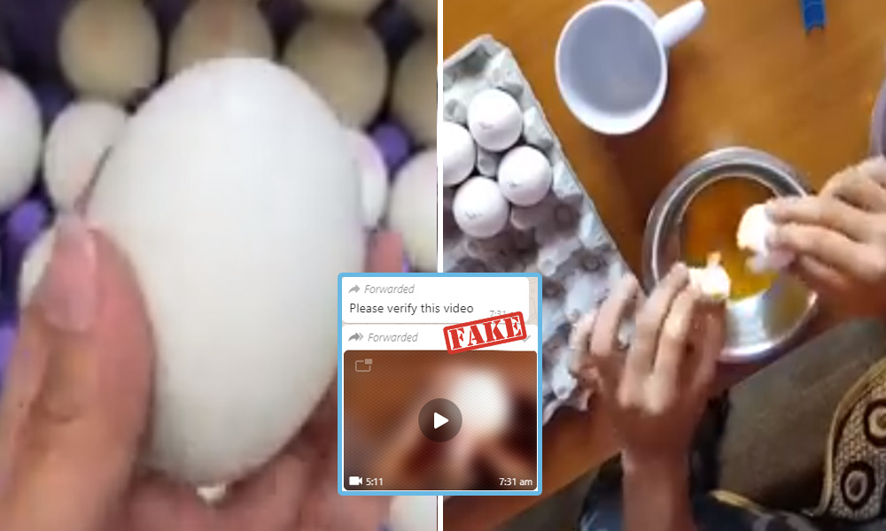 Fact Check: Plastic Eggs In Circulation In Indian Markets?