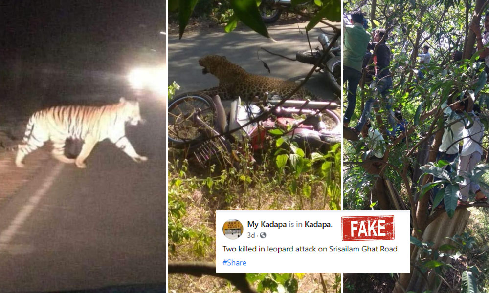 Fact Check: Leopard Attack In Hyderabad Claimed 2 Lives?