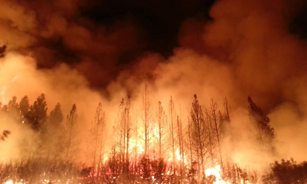 2020 Arctic Wildfires Emitted 35% More CO2 Than All Of 2019: Report