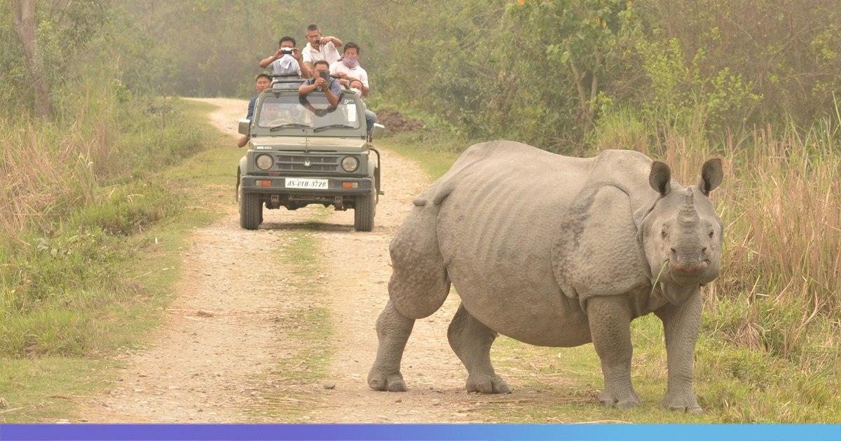 Assam: Kaziranga National Park Gets 3,000 Hectares Additional Land To  Reduce Human-Wildlife Conflict