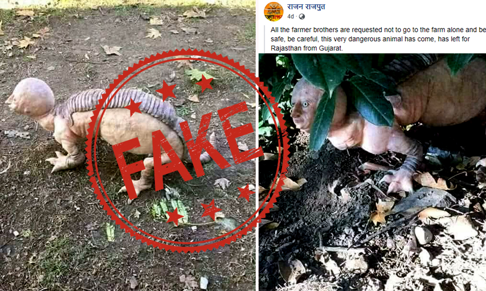 Fact Check: Unrealistic Animal Spotted In Fields Near Rajasthan?
