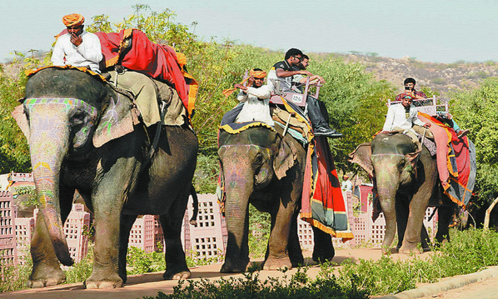 Four Elephants Died In Jaipurs Hathi Gaon In Last 6 Months Due To Lack Of Exercise During Lockdown