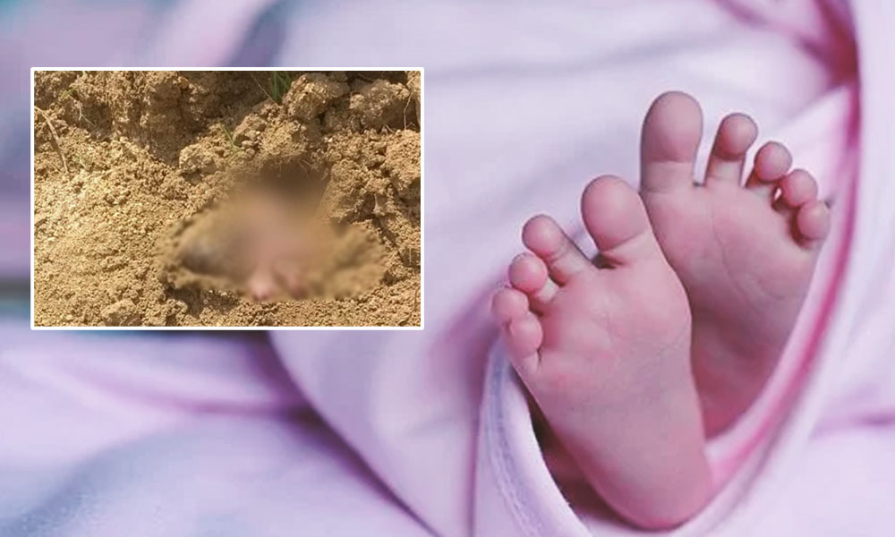 Andhra Pradesh: New Born Baby Found Half-Buried In Village, Locals Come To Rescue