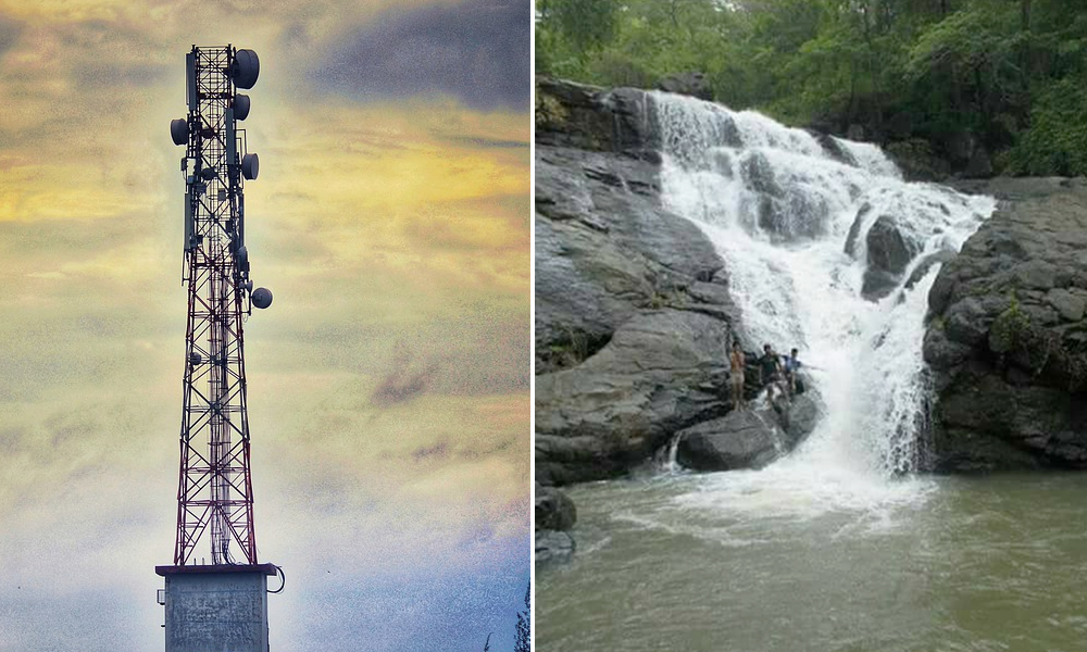 Maharashtras SGNP, Tungareshwar Sanctuary To Get Wireless Communication Network In Six Months