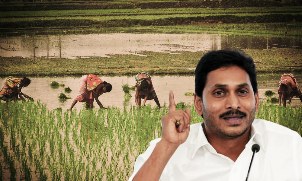 Andhra Pradesh To Provide Nine Hours Of Free Power To Farmers Through Direct Cash Transfer System