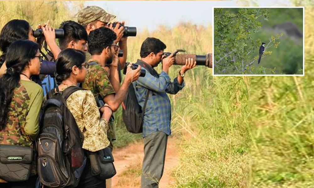 Five Years, 1,000 Volunteers: Kerala Completes Mammoth Survey For Bird Atlas