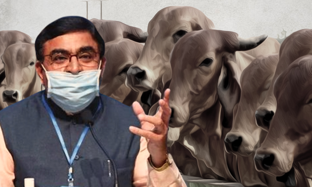 Cow Dung Chip Will Reduce Radiation From Phones, Claims Rashtriya Kamdhenu Aayog Chairman