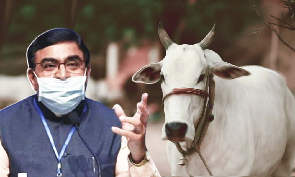 Show Us Proof?: Over 600 Researchers Write To Kamdhenu Ayog Chief Over Cow Dung Chip Reducing Radiation Claim
