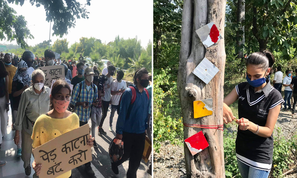 Chipko Movement Recreated In Dehradun As Hundreds Gather To Oppose Felling Of Over 10,000 Trees
