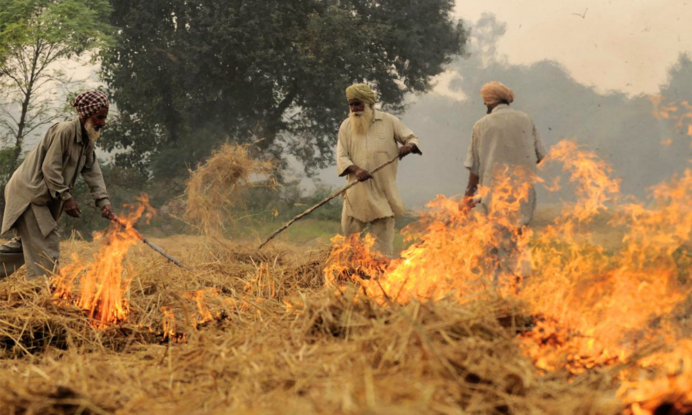 Mohali: 106 Incidents Of Stubble Burning, Deputy Commissioner Issues Show-Cause Notice To Officials